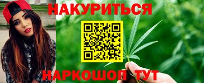 крисы Кандалакша