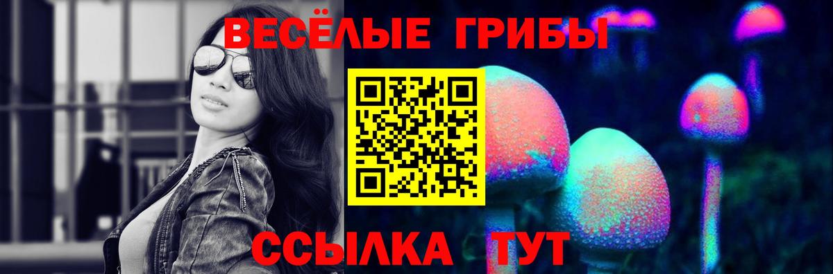 Новороссийск  Псилоцибиновые грибы MAGIC MUSHROOMS  Вход с VPN 