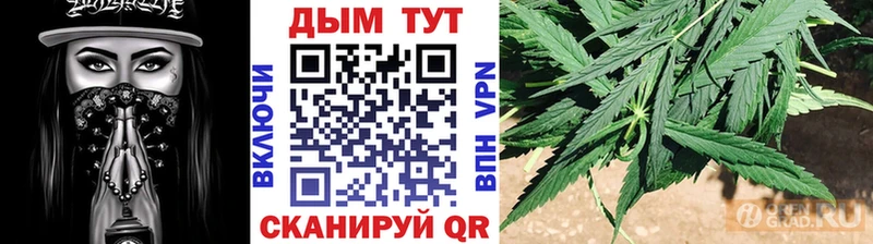 Бошки Шишки гибрид  дарк нет формула  Новороссийск  купить наркотики цена 