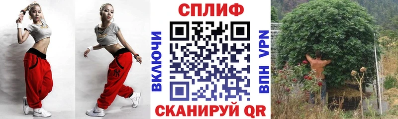 Каннабис семена Новороссийск